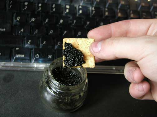 caviar3.jpg